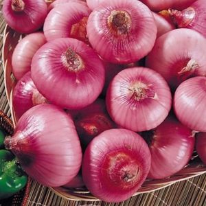 Bombay Onions India