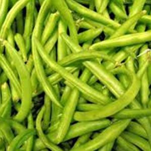 Fresh Beans India