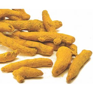 Amba Haldi India