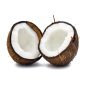 Coconuts