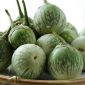 Green Round Brinjal