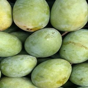 Mango Langra India