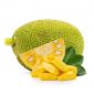 Jack Fruits