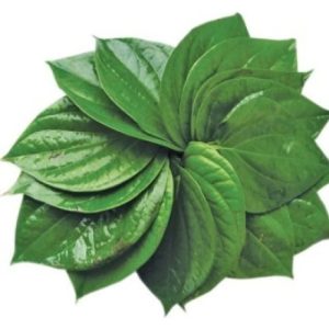Pan Leaves India