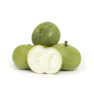 Tinda Gourd (FCP-527)